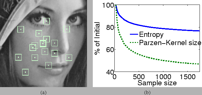 \begin{figure}\twoHeight {Model/ParzenSample_Lena.eps} {UINTA/graph_JointEntropy_Sigma_Vs_Samples.eps}
\end{figure}